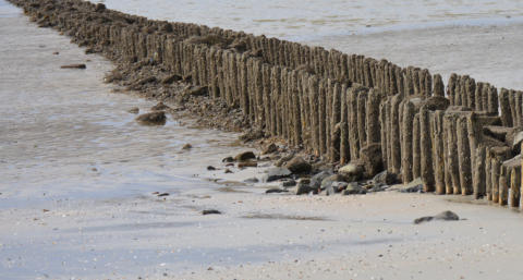 Blumenbinderei Jever 2017